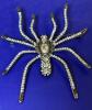 Vintage Inspired Black Spider Brooch With Sparkling Rhinestone Accents Gun Metal Back Approximately 3.4 x 3 Inch - 5