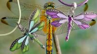 Two Dragonfly Enamel Pendants Leather Cords with Rhinestones One Green /One Purple Pendant 2 x2.5&rsquo;&rsquo; cord 17 +1.5&rsquo;&rsquo; approx Joy Light and Guidance