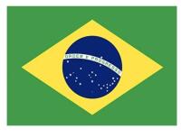 5 New Brazil Desk Flags