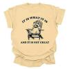 New Size XL Women's "It Is What It Is...And It Is Not Great" Raccoon Graphic Tee