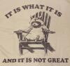 New Size XL Women's "It Is What It Is...And It Is Not Great" Raccoon Graphic Tee - 3