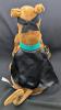 As-New Hallmark TRICK OR TREATIN' SCOOBY DOO : Shivers & Shakes, Says "What's That? I think I need a Scooby Snack! Trick or Treat!", 11.5" Tall (Working) - 3
