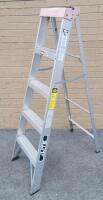 5ft Painters Ladder