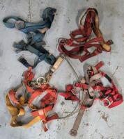 4 Safety Harnesses - 2x Protecta & North