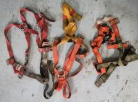 3 Safety Harnesses - 2x Protecta & North