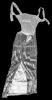 New Size Small Women's LAVISH IVY Sequined Eris Maxi Dress - 5