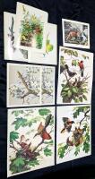9 Vintage Animal Lithographs & Glossy Prints Up To 13" &times; 17"