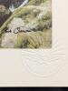 9 Vintage Animal Lithographs & Glossy Prints Up To 13" &times; 17" - 6