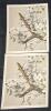 9 Vintage Animal Lithographs & Glossy Prints Up To 13" &times; 17" - 7