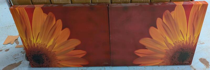 2 Floral Prints on Canvas. 24" by 25".