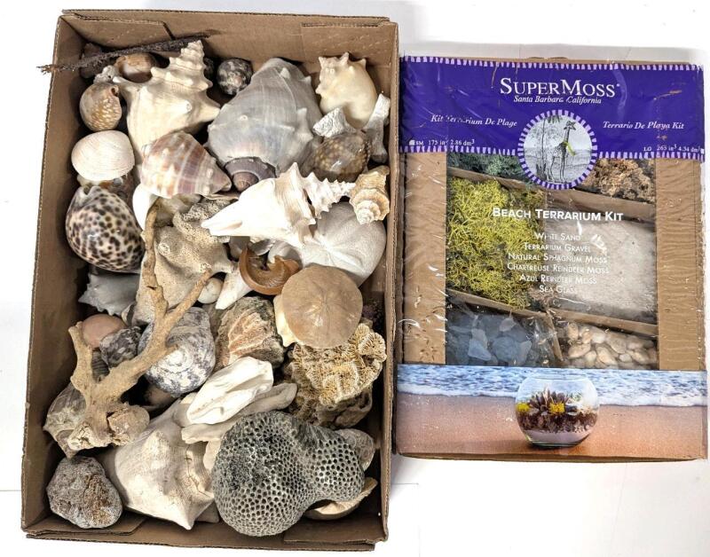 Supermoss Beach Terrarium Kit (Partial) & Assorted Shells For Crafting & Decorating (Some Shells Broken)