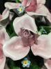Large CAPODIMONTE Porcelain Floral Centerpiece / Flower Basket, 10" Tall, Chips Present - 8