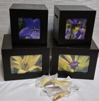 4 Nexxt Quadrant Corner Mounted Accent Shelves with Photo Openings Espresso