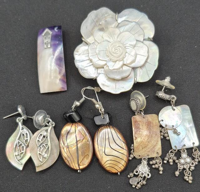 Beautiful Earrings & Brooches Shimmery (Shell?)