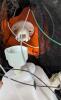 [Working, Squooshed Head] As-New ForLiving Sound Sensor Animayed Pumpkin Groundbreaker, Retails $60 New - 4