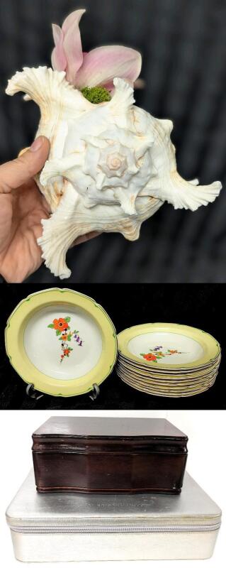 11 Vintage W.H. GRINDLEY England Petalware 8" Bowls, No Chips or Cracks, Large Kitschy Real Chicoreus Conch Shell With Faux Lotus Flower Centerpiece, Gunther Mele Wood Jewelry Box (Musty) & Large American Beauty Zippered Case 13" &times; 8.75" &times; 3.25"