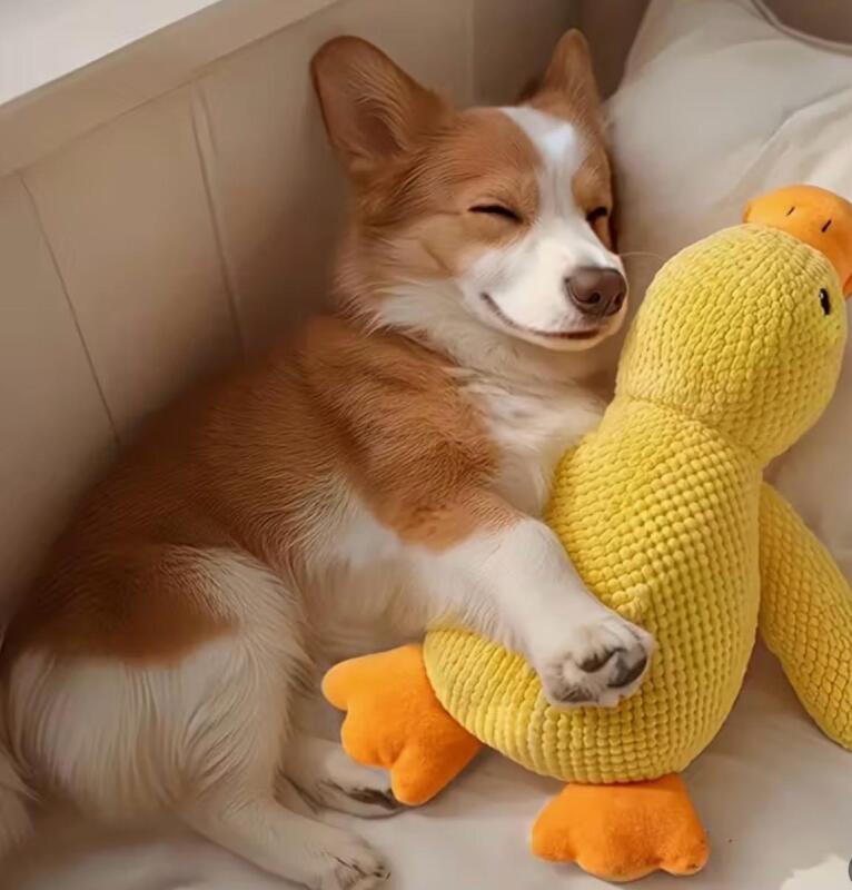 New Large Chew-Resistant Plush Duck Dog Toy - Soft, Chew Proof Companion with Bright Yellow Duck Design, Safe Chewable Puppy Toy Cuddly Companion for Solo Play or Cuddling - Ideal for Pomeranians, Chihuahuas, Shih Tzus approximately 9.85 x 8.65&rsquo;&rsquo; stock ph