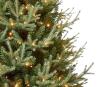 New CANVAS Pre-Lit Indoor Noelle Fraser Upswept Acorn Bottom Christmas Tree, 500 Mini LED Lights, 7-ft#051-5314-2 Retails for $399 - 4