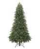 As New in Box NOMA 7' Maine Pre-lit Tree, Retail's for $649.99