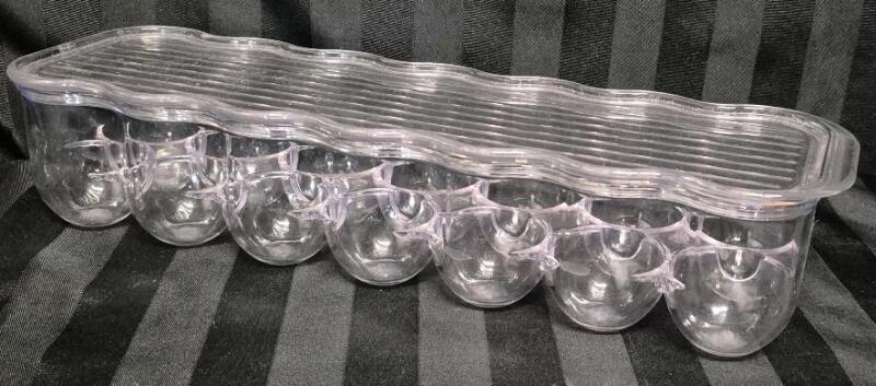 Refrigerator Egg Holder Container 14 x 4 x 3"