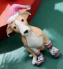 Festive Dog Brooch / Pendant Cute Enamel with Rhinestone Accents, Santa Hat & Scarf Design Detailed Craftsmanship approximately 2 x1&rsquo;&rsquo; stock photo added - 2