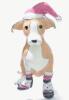 Festive Dog Brooch / Pendant Cute Enamel with Rhinestone Accents, Santa Hat & Scarf Design Detailed Craftsmanship approximately 2 x1&rsquo;&rsquo; stock photo added - 3