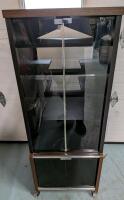 Vintage Stereo Cabinet on Castors. 22" by 15.5" by 56". 4 Shelves. Door Magnets still Work.