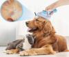 Pet Massage Comb Easy One-Click Pet Massage Comb Deshedding Grooming Brush for Dogs and Cats - Removes Loose Undercoat Approximately 7.7 x 4 stock photos added Blue - 2