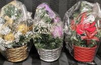 3 New 7" Tall Mini Christmas Trees