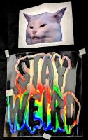 2 New Vinyl Car Decals: Large Iridescent STAY WEIRD (7.15" &times; 7.25") & The "Disgust" Cat Meme (5" &times; 3.5")