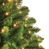 New NOMA Pre-Lit Dresden Christmas Tree with Tree Stand, 450 Colour-Changing LED Lights, 7-ft#151-8568-2 Retails for $249.99 - 4