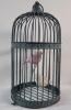 Home Decor Bird Cage w/Two (2) Resin Birds . Measures 15" tall & 8" diameter . - 2
