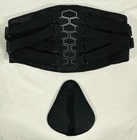 New Back Support Belt with Removable Lumbar Support Insert