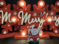 New Light up Christmas Decor 7.5" Tall
