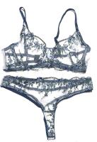 New Size LG Women's 2-Piece Sexy Mesh Peekaboo Embroidered Flower Detail Thong & Bra Set