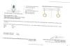 Gold Plated Sterling Silver Natural Rose Cut Diamond (0.25ct) Drop Style Earrings, comes with APPRAISAL $370.00. - 2
