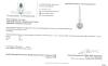 Sterling Silver Natural Diamond (0.10ct) Pendant with Sterling Silver Chain, comes with APPRAISAL $625.00.