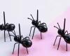 New Quirky 24 Piece Ant-Shaped Fruit Forks, Durable ABS Quality Resin Craftsmanship Great on Island or Table with Marshmallows or any Servings stock photo added approximately 2 x 1.5&rsquo;&rsquo; see description - 3