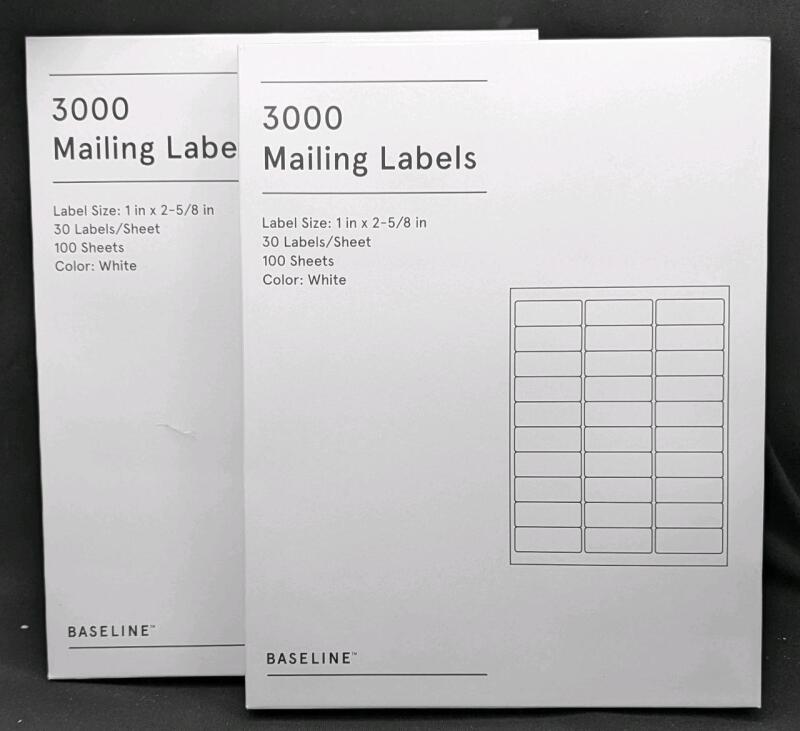 6,000 New BASELINE Mailing Labels BL58260, White . Label Size : 1"&times;2 ⅝" each. 2 Packages of 100 Sheets, 30 Labels Per Sheet