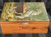 Great Teen Jewelry Lot with Wooden Box - 2