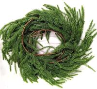 New 8.5ft Long Realistic Norfolk Pine Bough Garland With Loops On Both Ends (I May Be Crazy, But I Could Swear It Almost SMELLS Like Pine!)