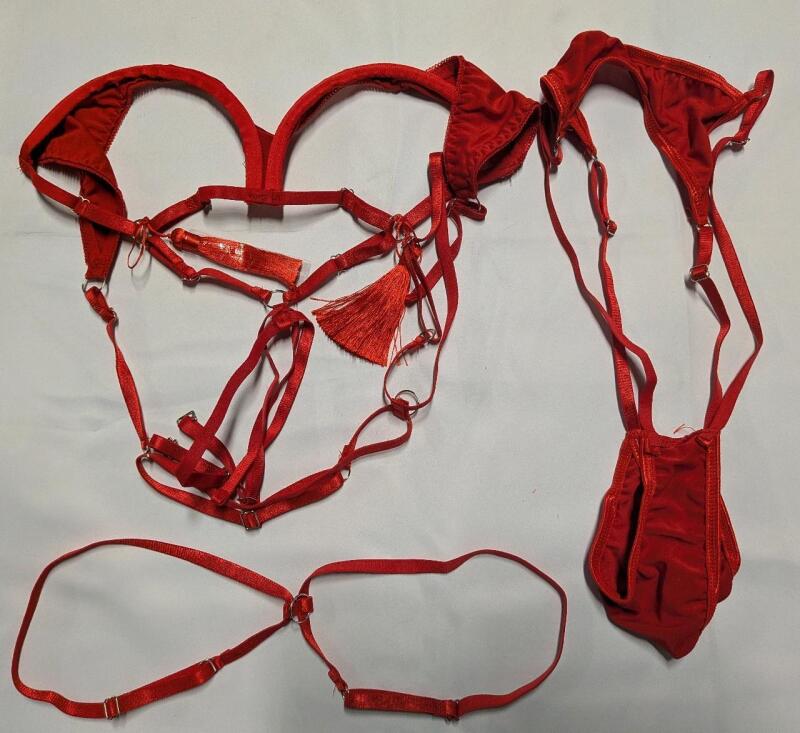 New Size Medium 3 Piece Revealing Lingerie Set. Cup size "M" (Likely Medium)
