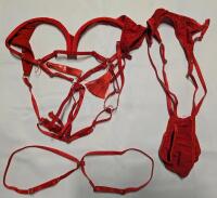 New Size Medium 3 Piece Revealing Lingerie Set. Cup size "M" (Likely Medium)