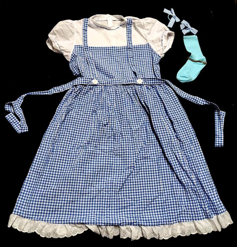 As-New Size LG Women's Dorothy Gale Wizard of Oz-Style Costume, Spot of Discoloration By Back Zipper