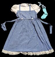 As-New Size LG Women's Dorothy Gale Wizard of Oz-Style Costume, Spot of Discoloration By Back Zipper