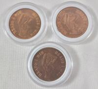 3 "Heads I Win - Tails You Lose" Challenge Coins featuring Nude Pin-Up Girl Design.