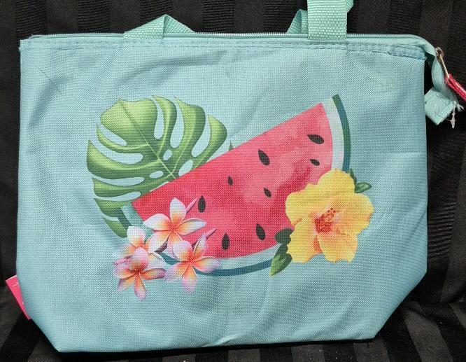 New Insulated Lunch Bag 13 by 10"