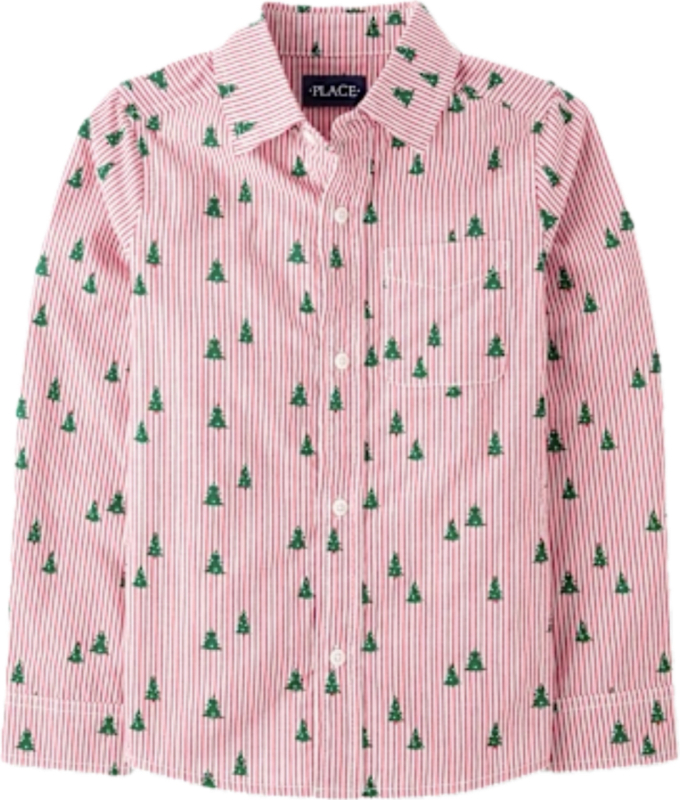 New Sz 2T The Children&rsquo;s Place Boys&rsquo; Long Sleeve Shirt