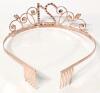 New Rose Metal Rhinestone 21st Birthday Tiara & Rhinestone Safety Pin 1.8" Long - 3