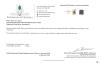 14KT Yellow Gold Natural Iolite (1ct) Earrings, comes with APPRAISAL $720.00. - 2